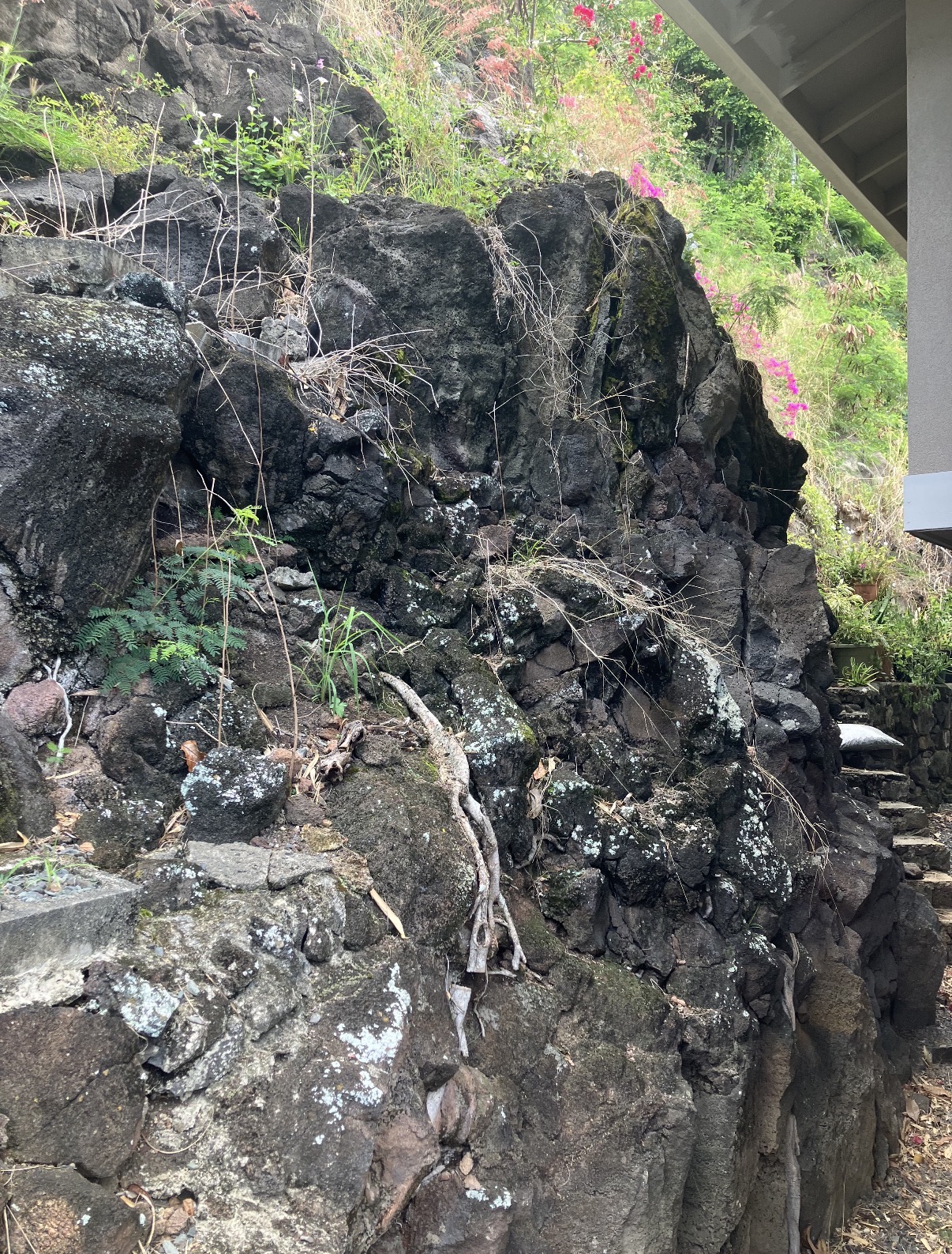 Rock outcrop and vegetation prior to rockscape work in Pacific Heights